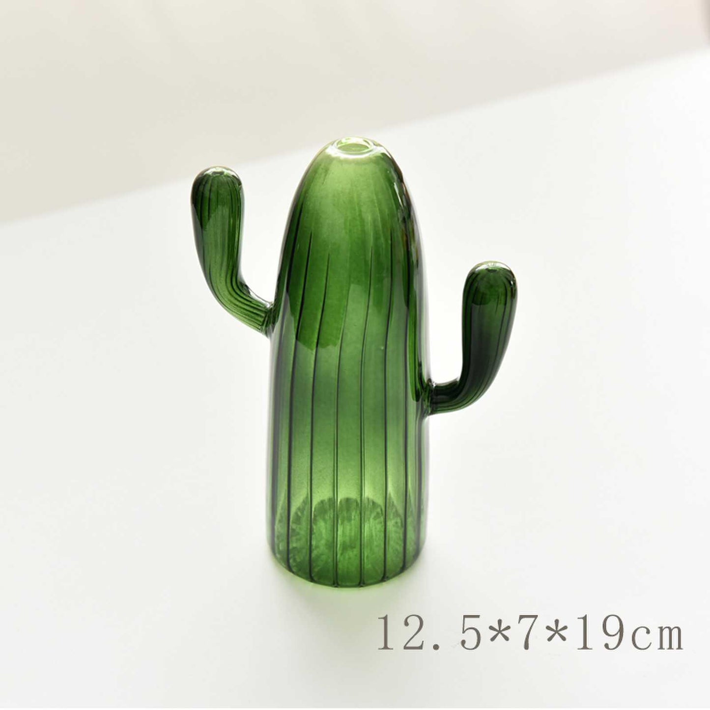Desktop Decoration Cactus Vase - Pacisia