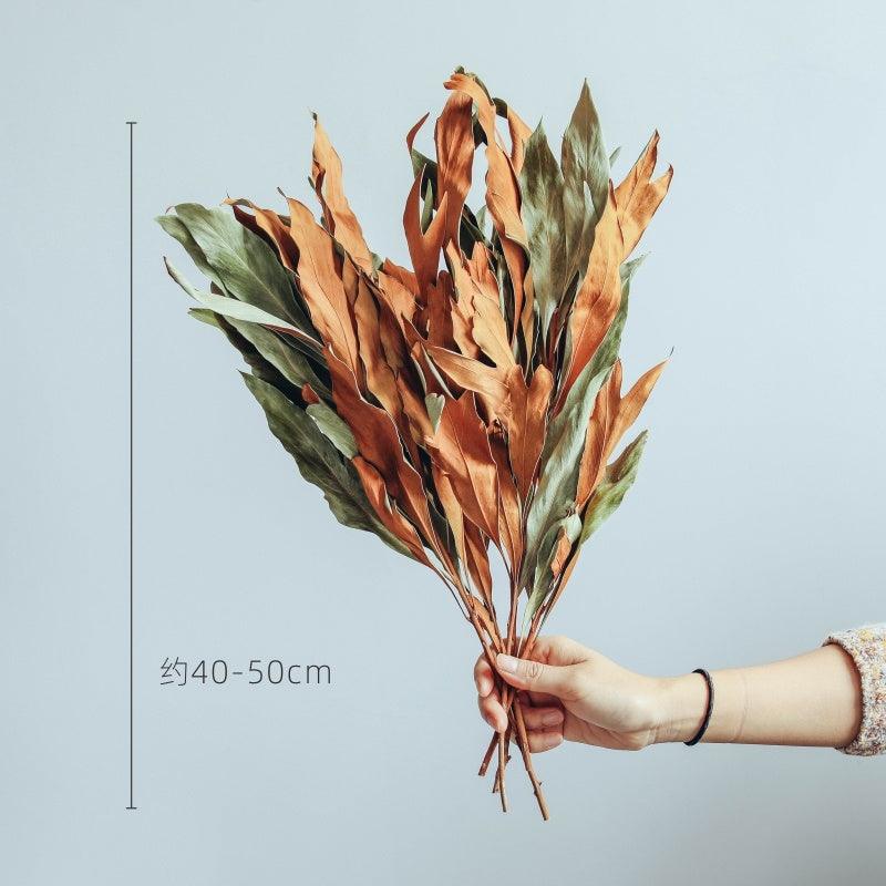 European Imported Double-Sided Leaf Dried Flowers Japanese Retro Style Natural Real Flower Bouquet - Pacisia