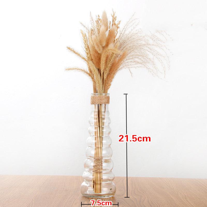 European style household glass vase - Pacisia