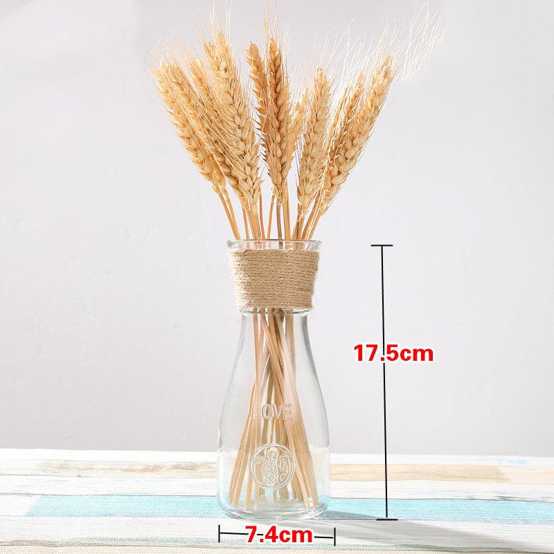 European style household glass vase - Pacisia