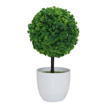 Faux Bonsai Tall - Pacisia