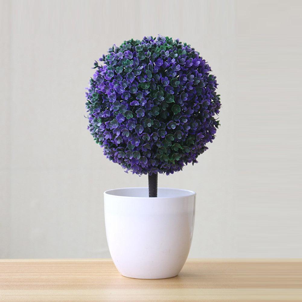 Faux Bonsai Tall - Pacisia