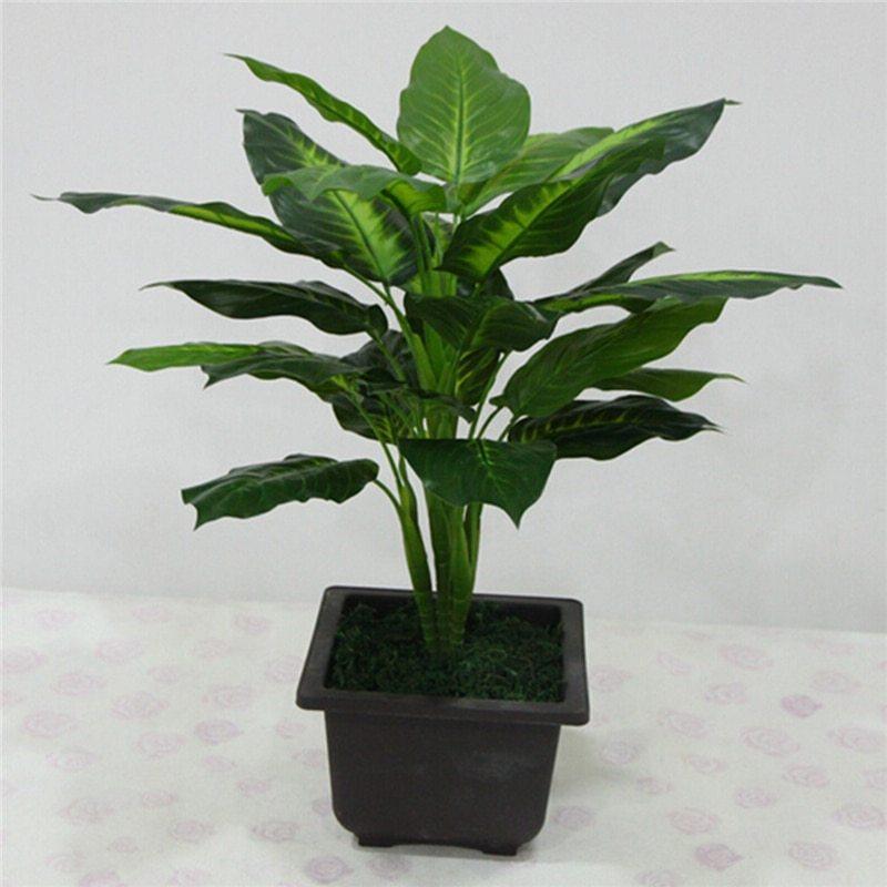 Faux Dieffenbachia Plant - Pacisia