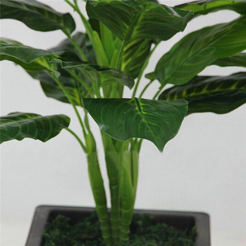 Faux Dieffenbachia Plant - Pacisia