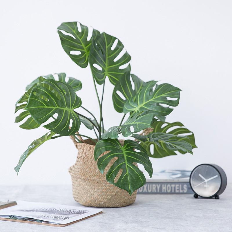 Faux Monstera Plant - Pacisia