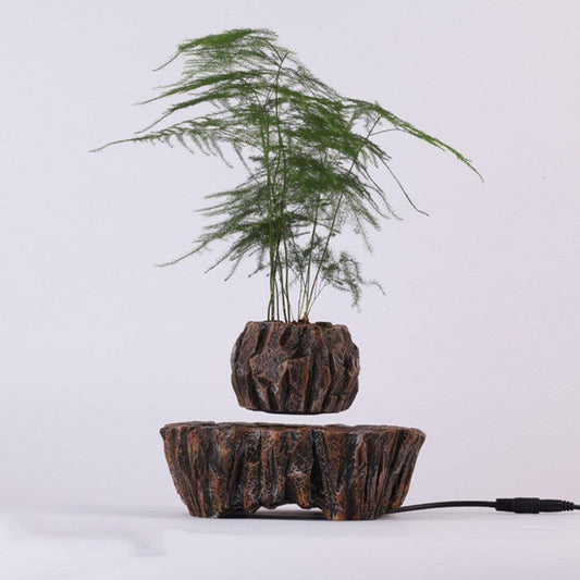 Floating Pot Plant - Pacisia