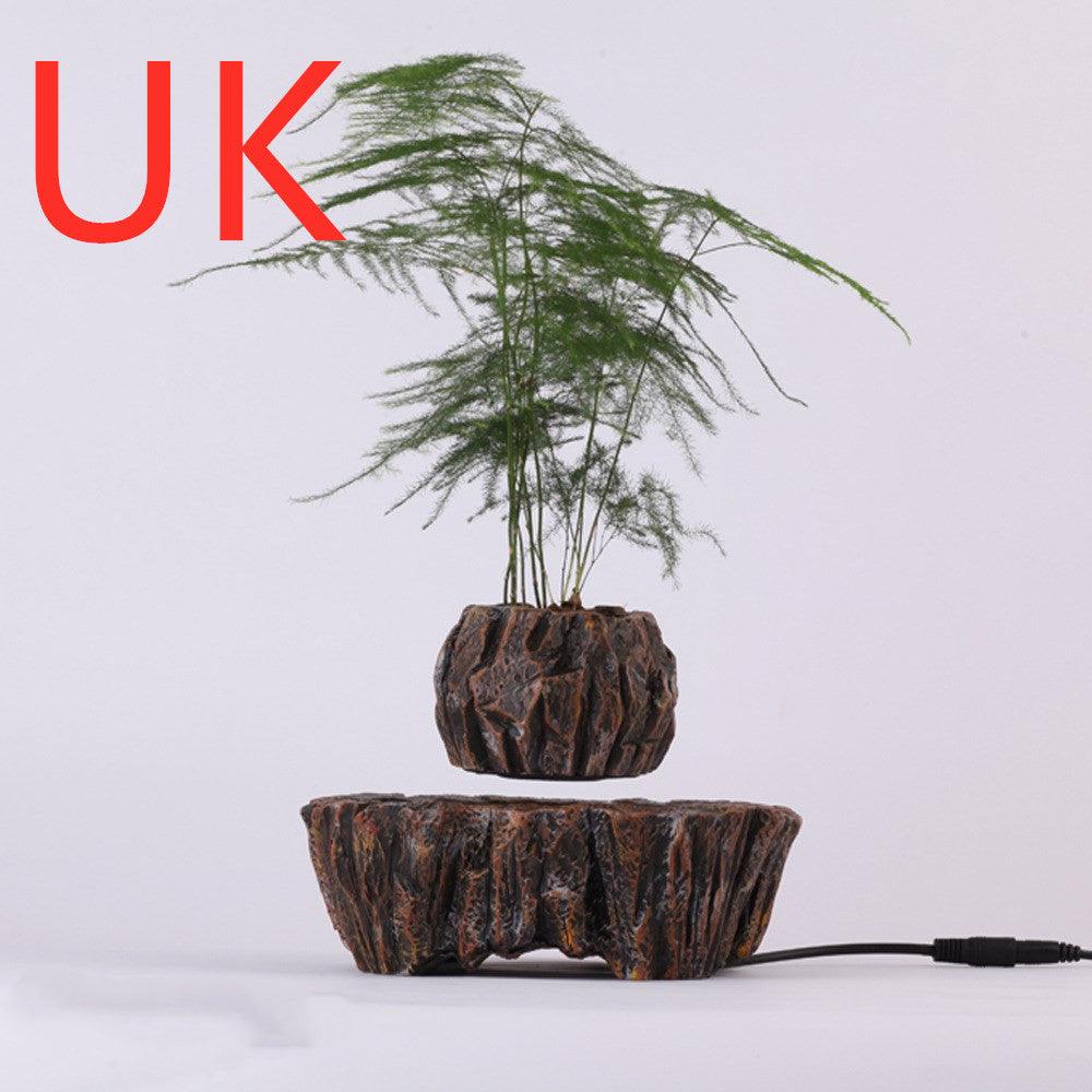 Floating Pot Plant - Pacisia