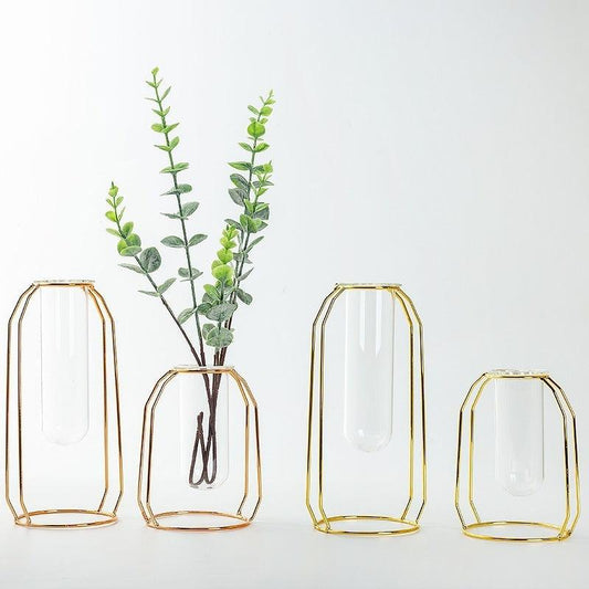 Glass Hydroponic Wire Metal Geometric Wrought Iron Vase - Pacisia