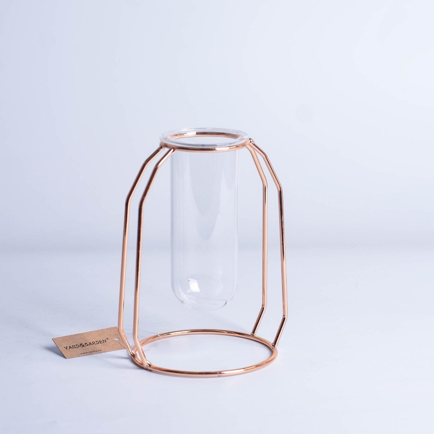 Glass Hydroponic Wire Metal Geometric Wrought Iron Vase - Pacisia