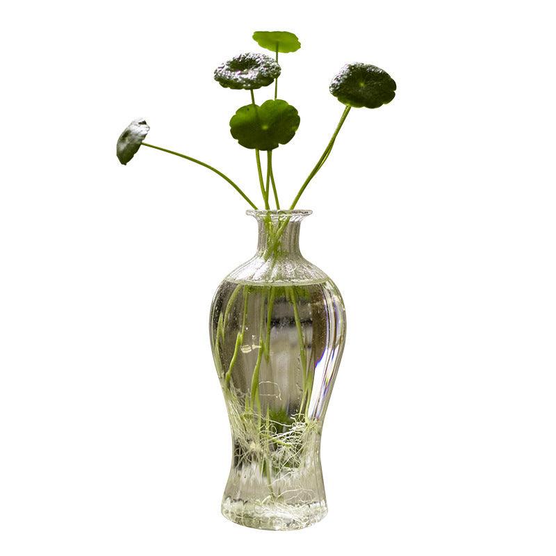 Glass Small Vase Transparent Water Culture Decoration - Pacisia