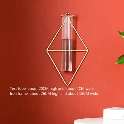 Glass tube hydroponic vase - Pacisia