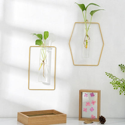 Glass tube hydroponic vase - Pacisia