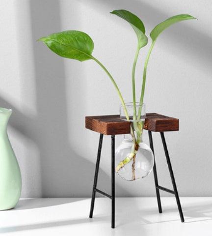 Glass Wood Vase Table Desktop Hydroponics Plant Stationery Bonsai Flower Pot Decoration Hanging Pots with Wooden Tray Pen Holder - Pacisia