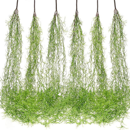 Home Plant Background Wall Decoration - Pacisia