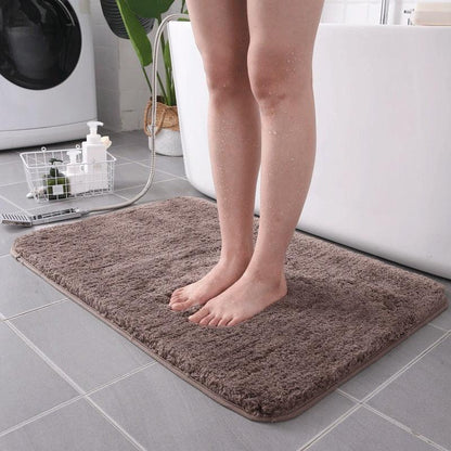 Household floor mat doormat - Pacisia