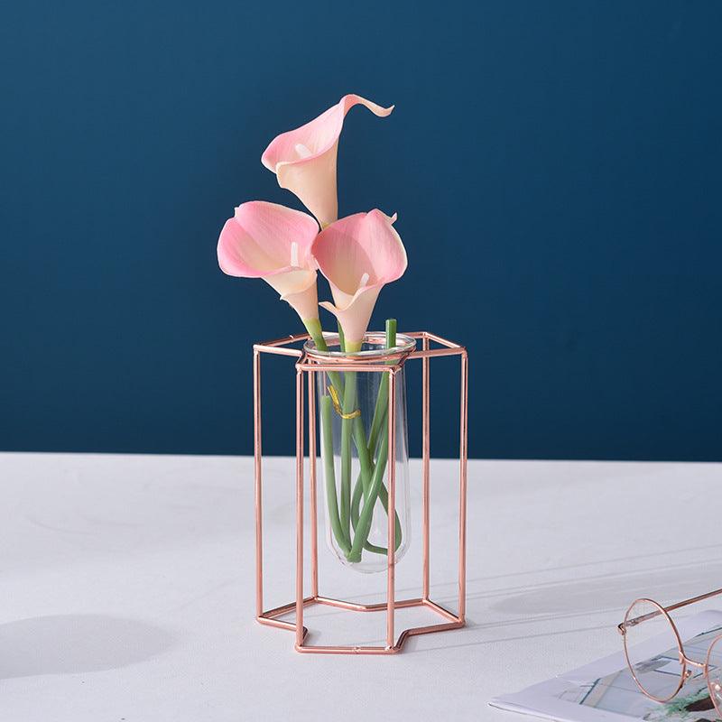 Hydroponic Glass Vase - Pacisia