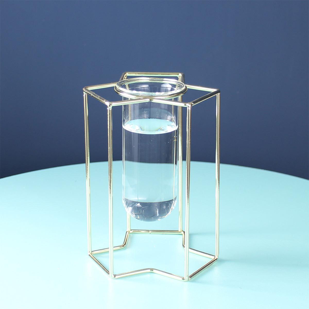 Hydroponic Glass Vase - Pacisia