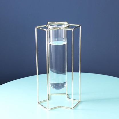 Hydroponic Glass Vase - Pacisia