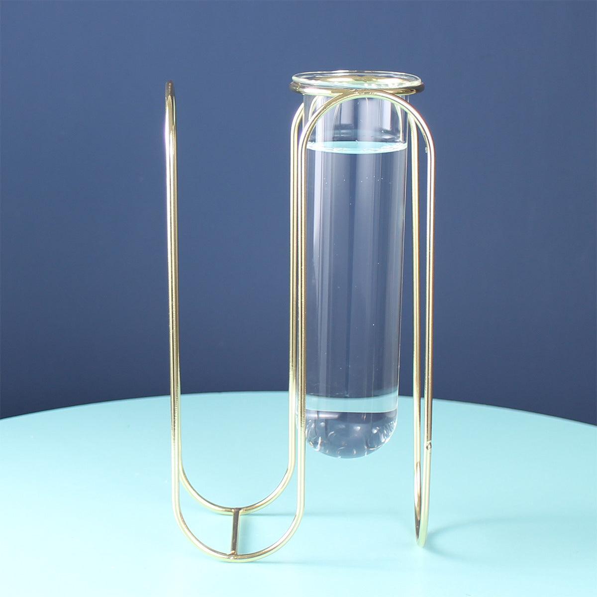 Hydroponic Glass Vase - Pacisia