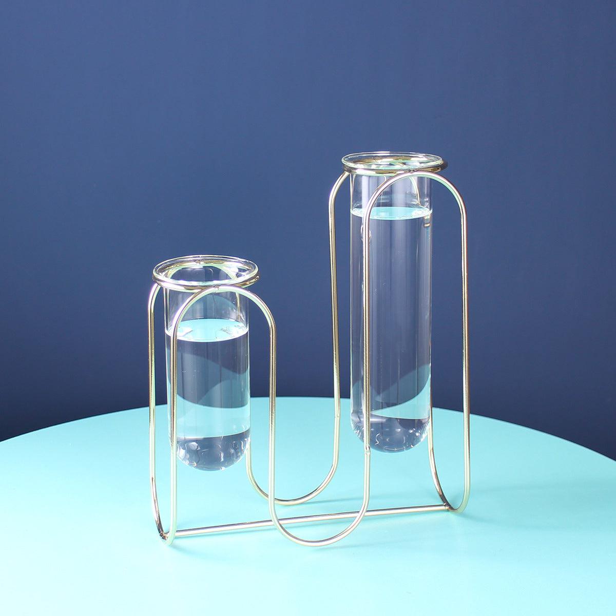 Hydroponic Glass Vase - Pacisia