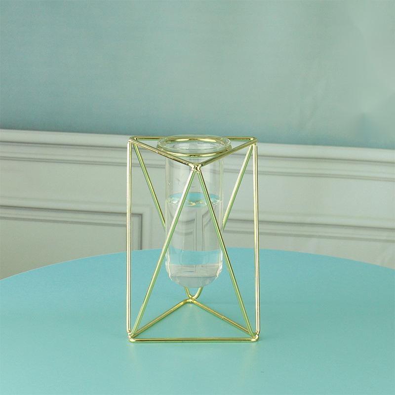 Hydroponic Glass Vase - Pacisia