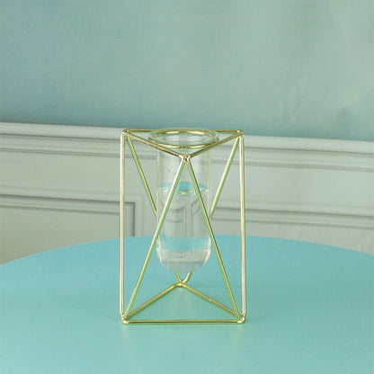 Hydroponic Glass Vase - Pacisia