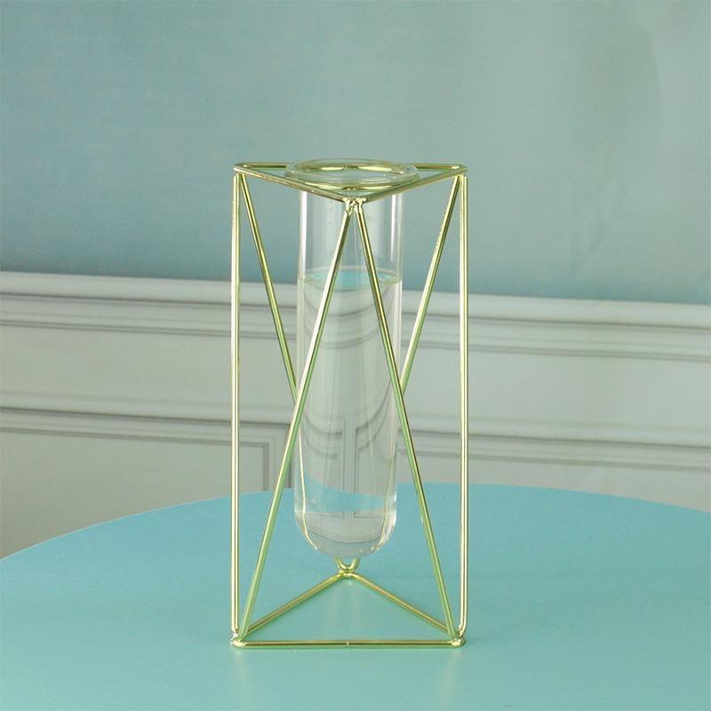 Hydroponic Glass Vase - Pacisia