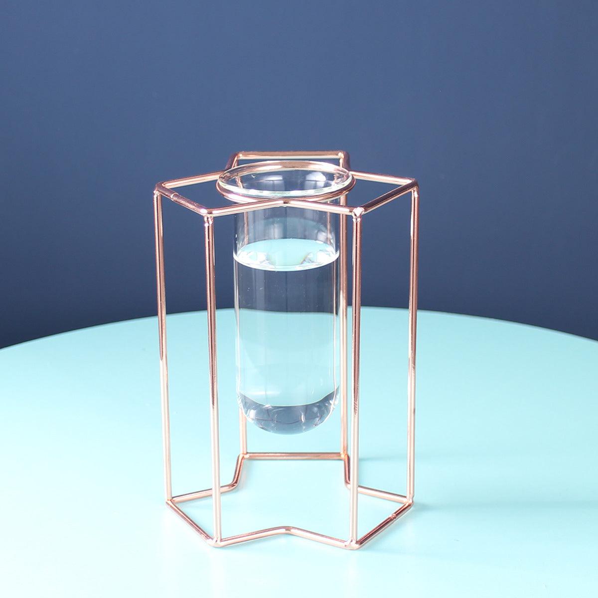 Hydroponic Glass Vase - Pacisia