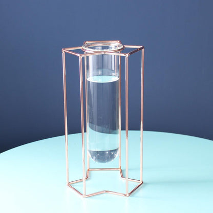 Hydroponic Glass Vase - Pacisia