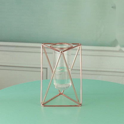 Hydroponic Glass Vase - Pacisia