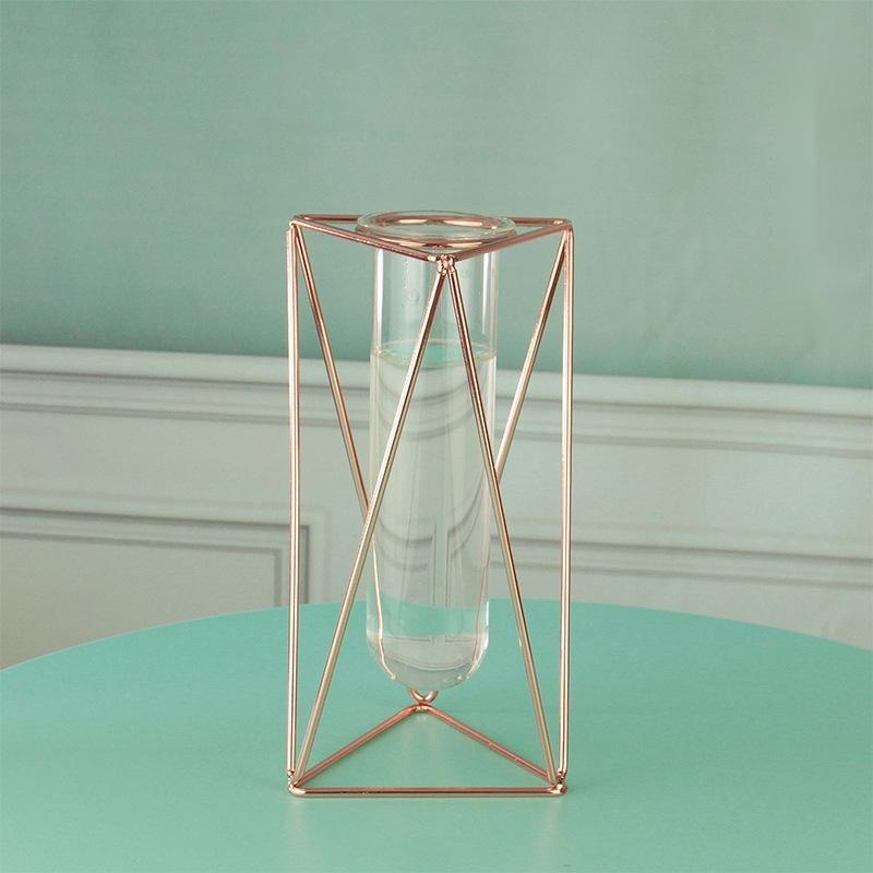 Hydroponic Glass Vase - Pacisia