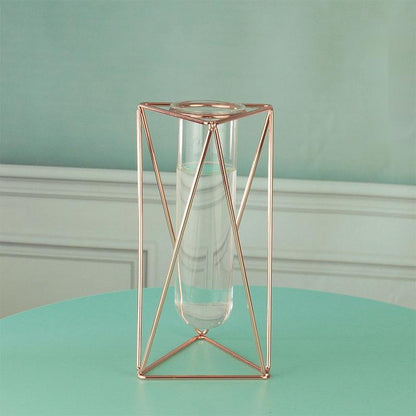 Hydroponic Glass Vase - Pacisia