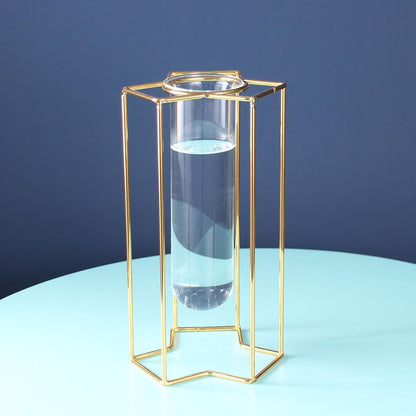 Hydroponic Glass Vase - Pacisia