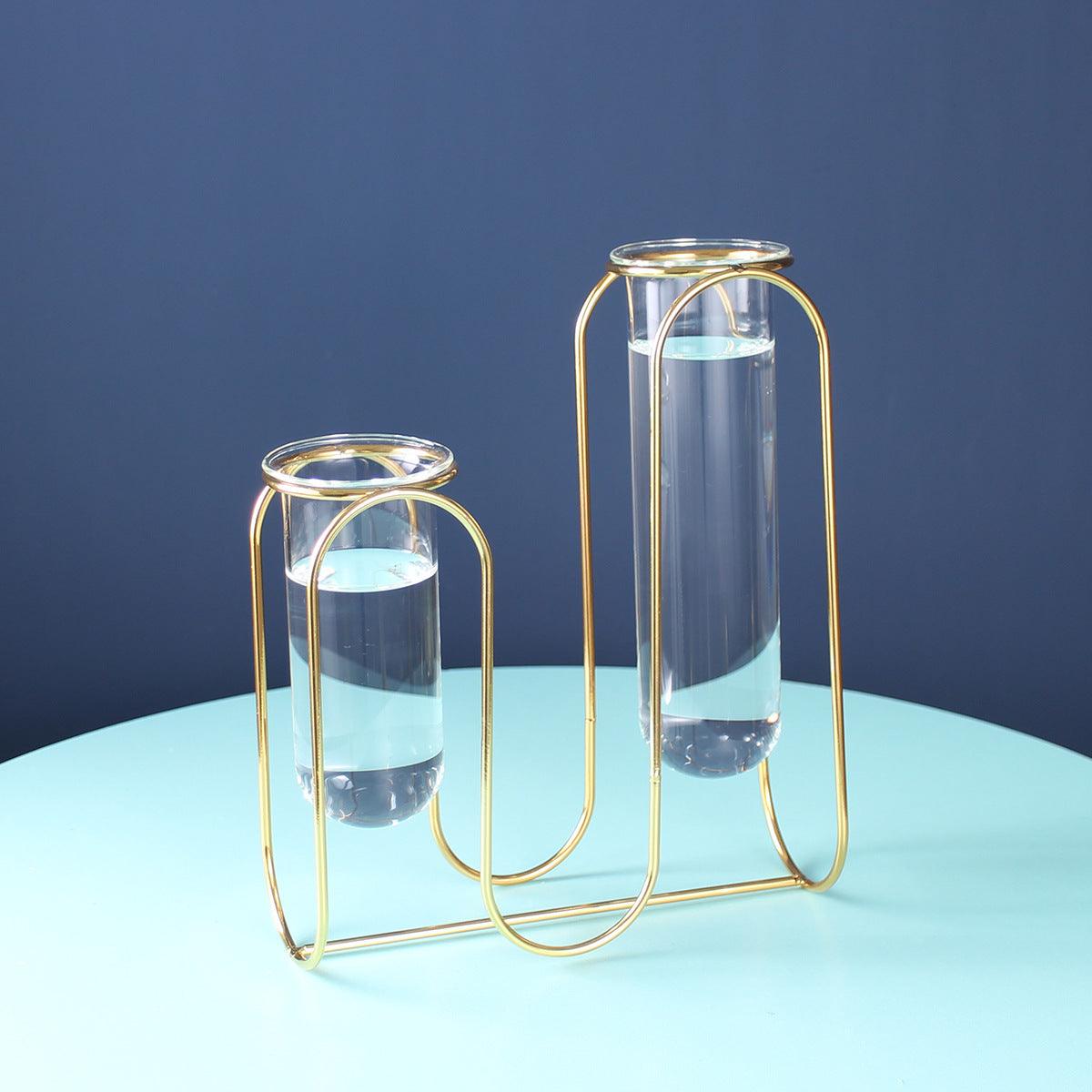 Hydroponic Glass Vase - Pacisia