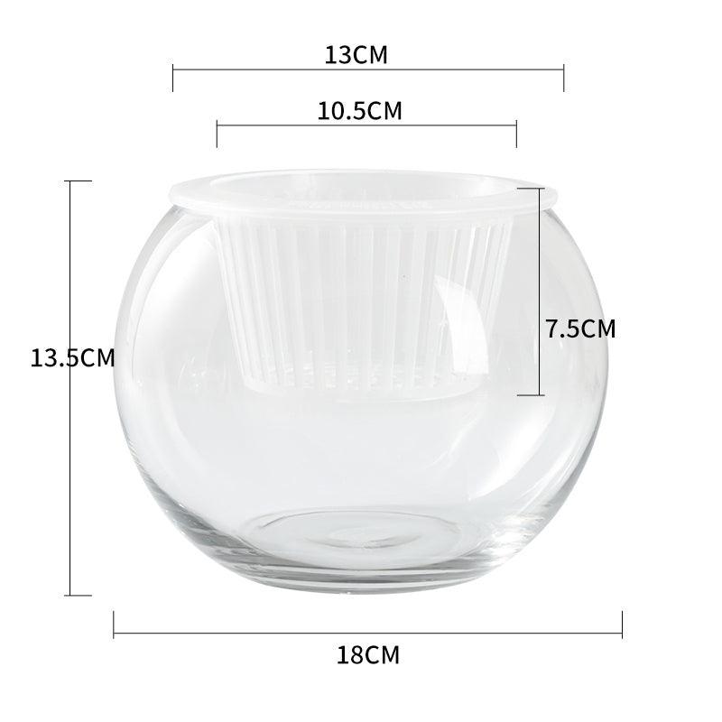 Hydroponic Plant Glass Bottle Transparent Glass Vase - Pacisia