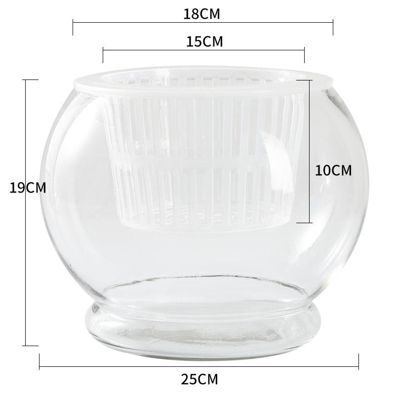 Hydroponic Plant Glass Bottle Transparent Glass Vase - Pacisia