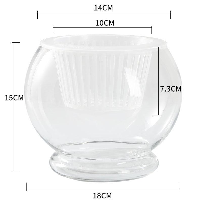 Hydroponic Plant Glass Bottle Transparent Glass Vase - Pacisia