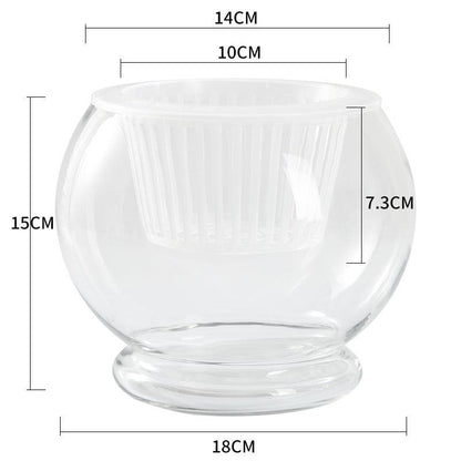 Hydroponic Plant Glass Bottle Transparent Glass Vase - Pacisia