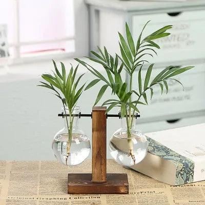 Hydroponic Transparent Plant Vases - Pacisia