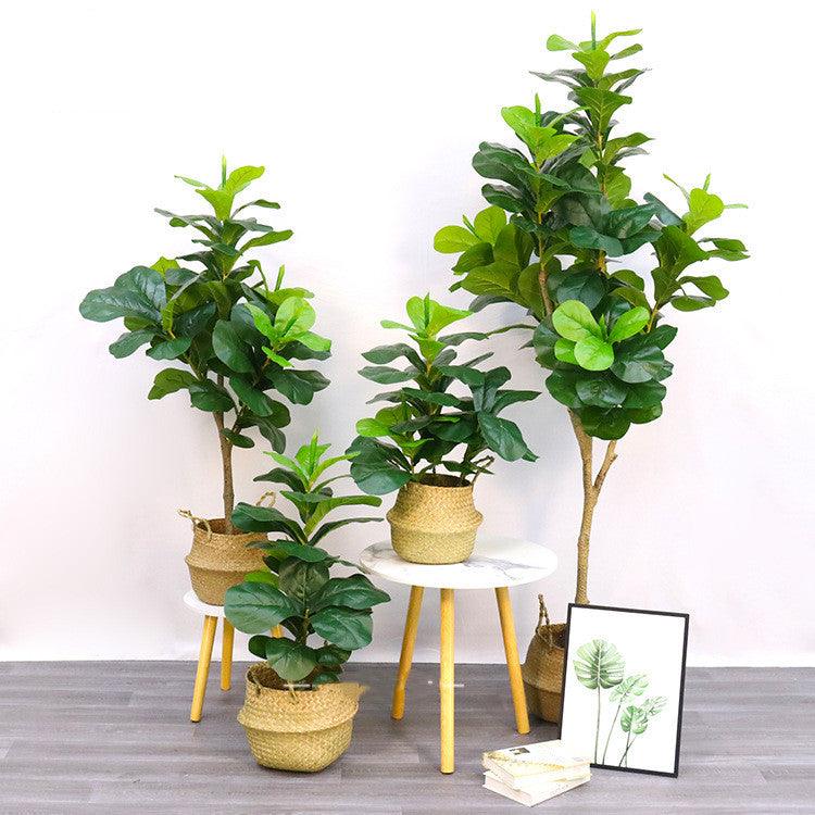 Bonsai Decorated With Fake Trees And Artificial Plants - Pacisia