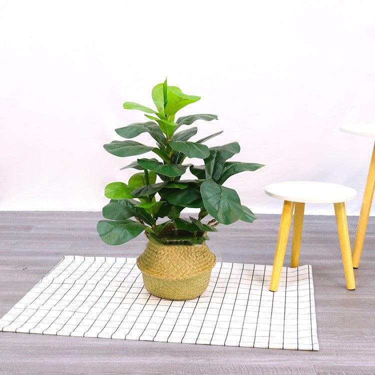 Bonsai Decorated With Fake Trees And Artificial Plants - Pacisia