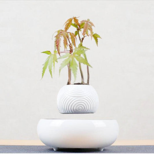 Magnetic Levitation Potted Plants - Pacisia