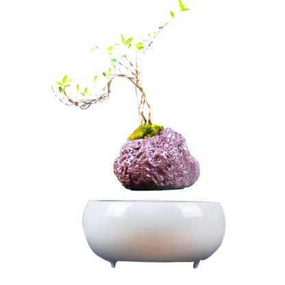 Magnetic Levitation Potted Plants - Pacisia