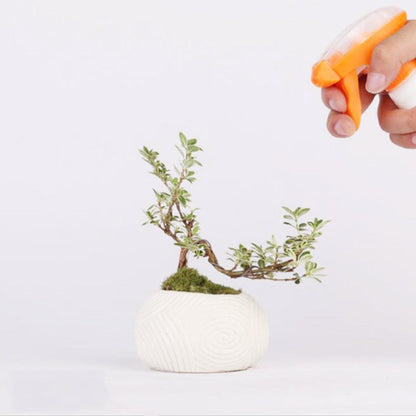 Magnetic Levitation Potted Plants - Pacisia