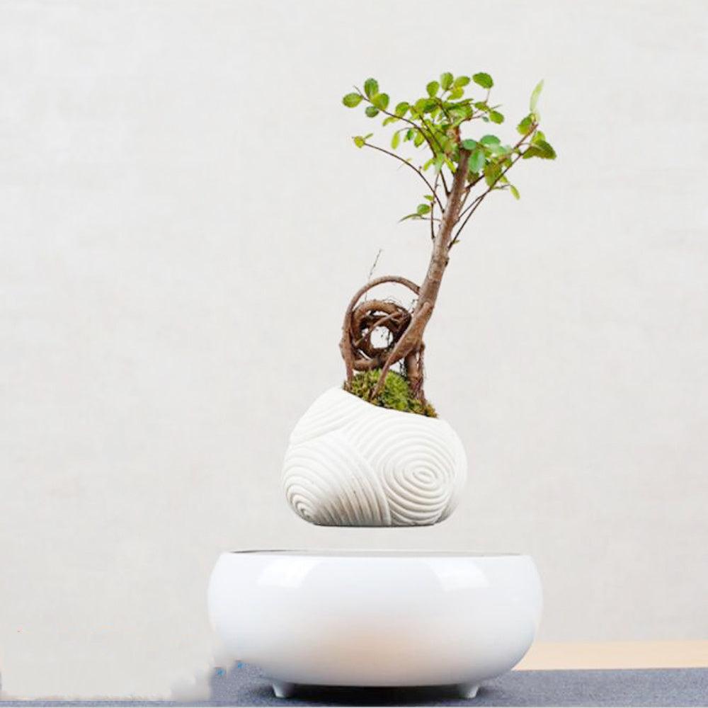 Magnetic Levitation Potted Plants - Pacisia