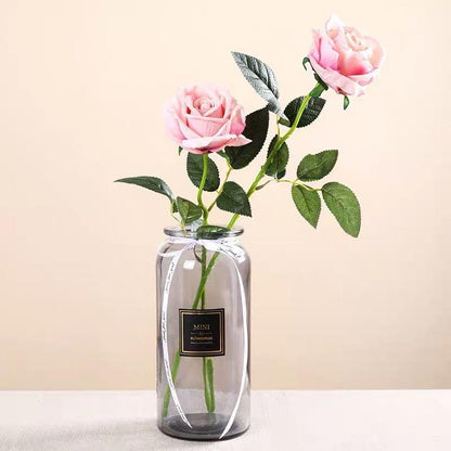 Mini Straight Transparent Glass Vase Ornaments Flower Arrangement Hydroponic Vase - Pacisia