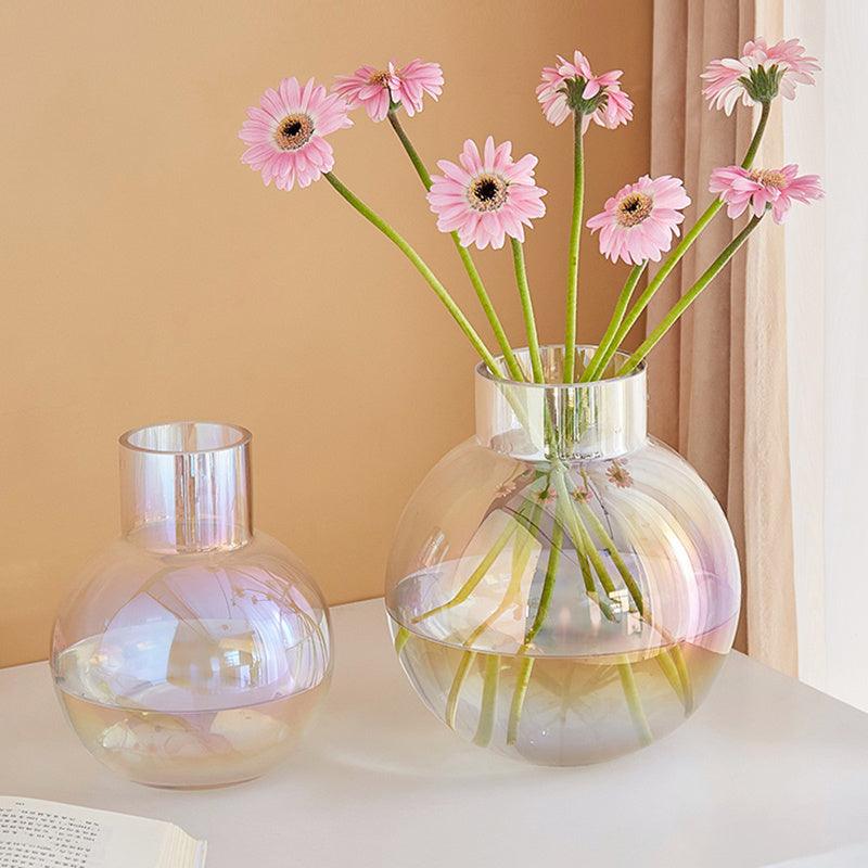 New Ball Colorful Transparent Glass Vase Ornament - Pacisia