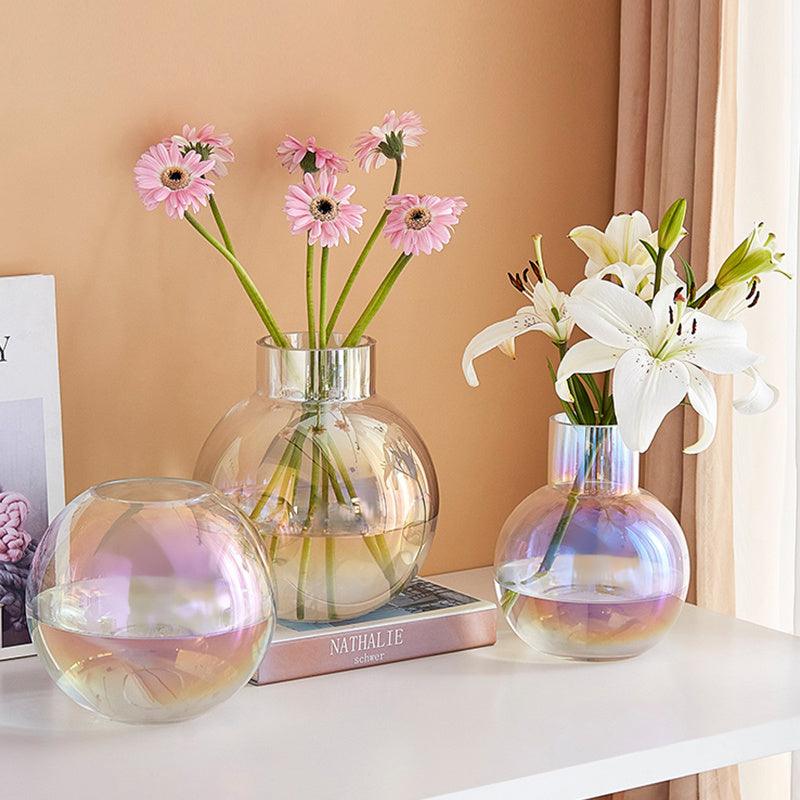 New Ball Colorful Transparent Glass Vase Ornament - Pacisia