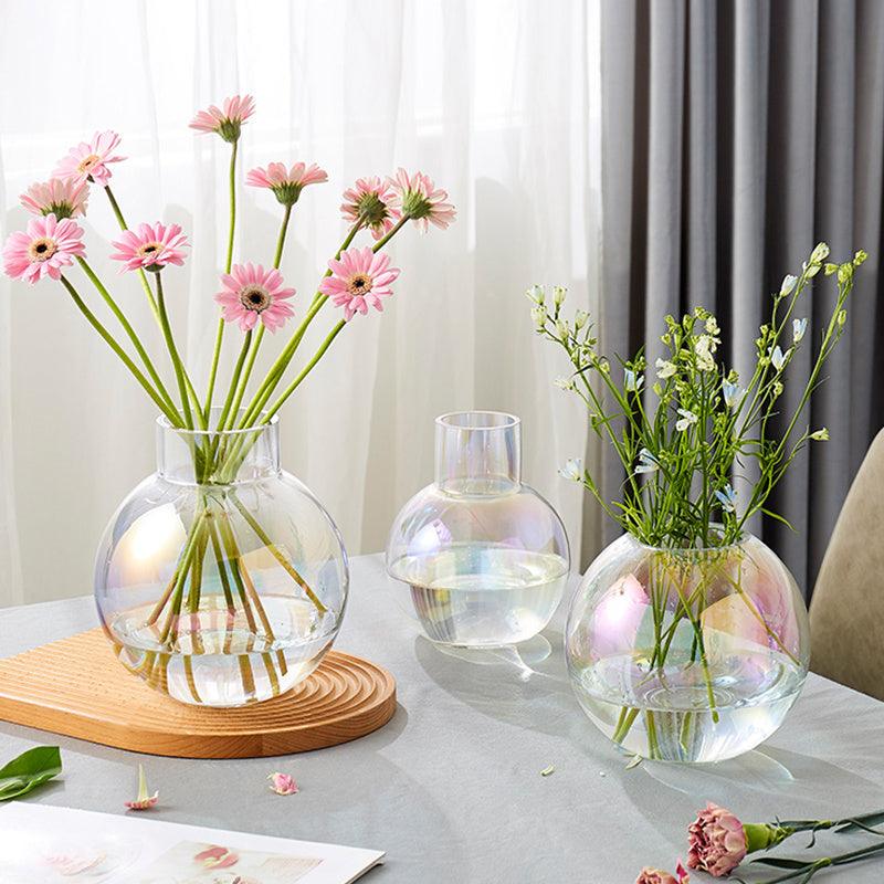 New Ball Colorful Transparent Glass Vase Ornament - Pacisia