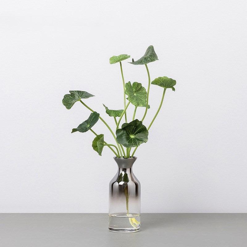 Nordic Creative Transparent Glass Vase Small Caliber - Pacisia